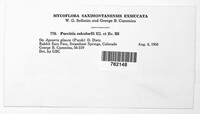Image Associated With the Occurence